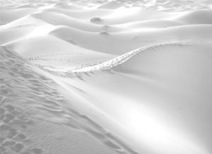 Sand Dunes BW